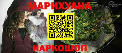 сатива Камышлов