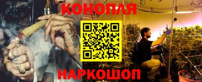 сатива Камышлов